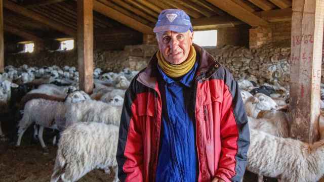Leandro Valle es quinta generación de ganaderos y cuenta con 1.200 ovejas 'híbridas' en las que confluyen genéticamente tres tipos de razas, lo que las hace más grandes y resistentes.