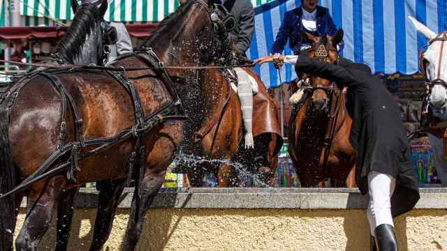 Imagen de archivo de caballos refrescándose en el abrevadero de la Feria de Sevilla.