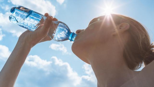 Habitúa a tu cuerpo a hidratarse