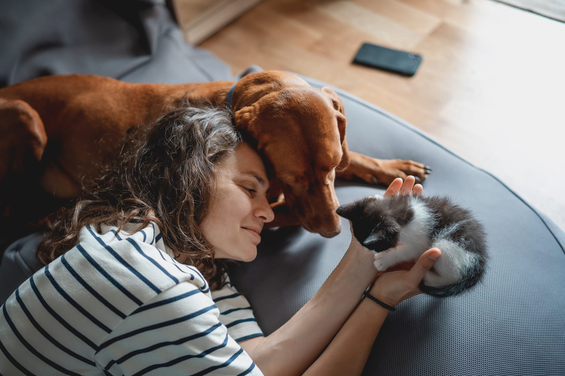 Una joven junto a un perro y a un gato. Foto: Shutterstock