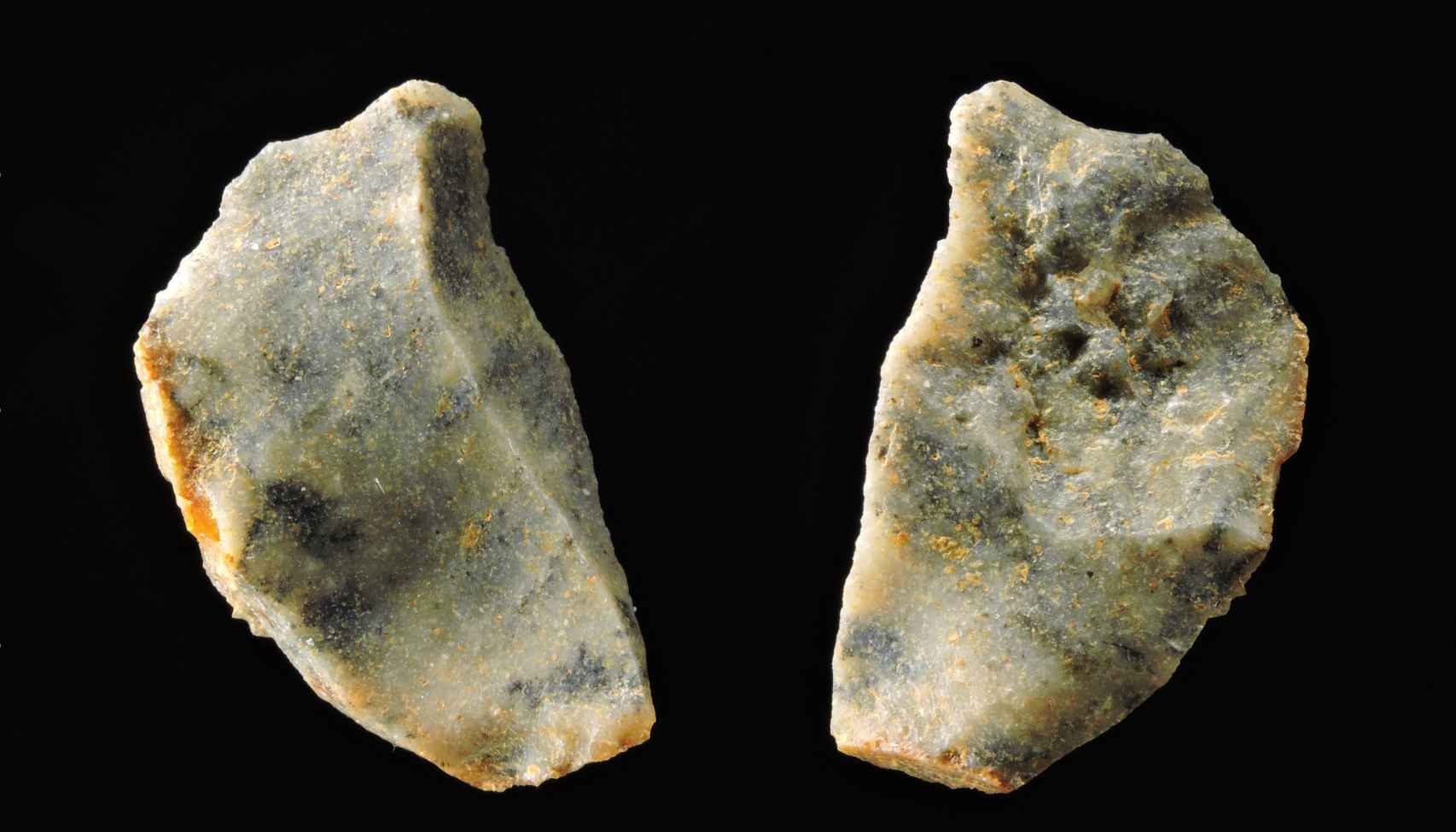 Marcas de corte antrópicas paralelas en huesos encontrados en Pirro Nord.
