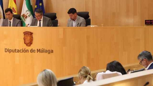 Un momento del Pleno de la Diputación provincial de Málaga.