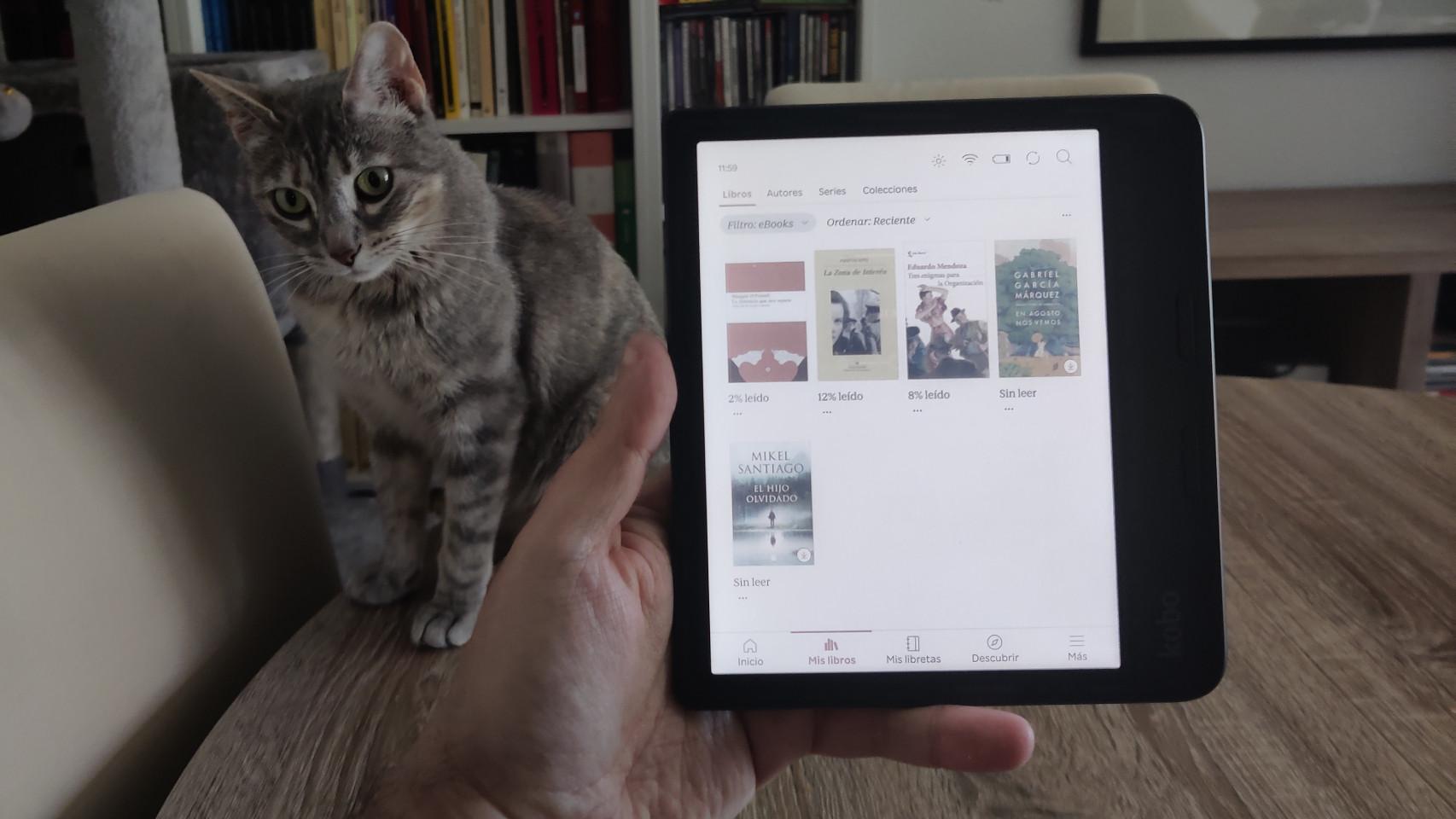 fondo de pantalla de gato para kindle