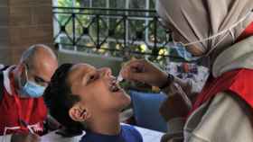 Un niño recibe una vacuna oral contra el cólera en el Líbano.