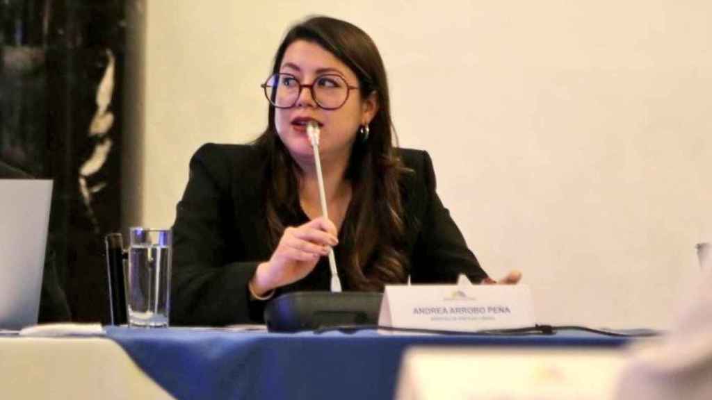 La ex ministra de Energía de Ecuador,  Andrea Robo.