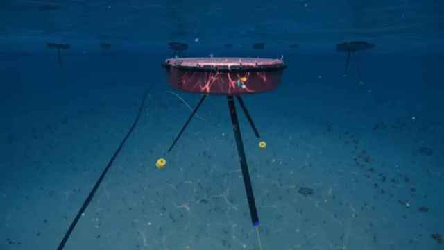 Las unidades de CETO6 operan sumergidas bajo el mar