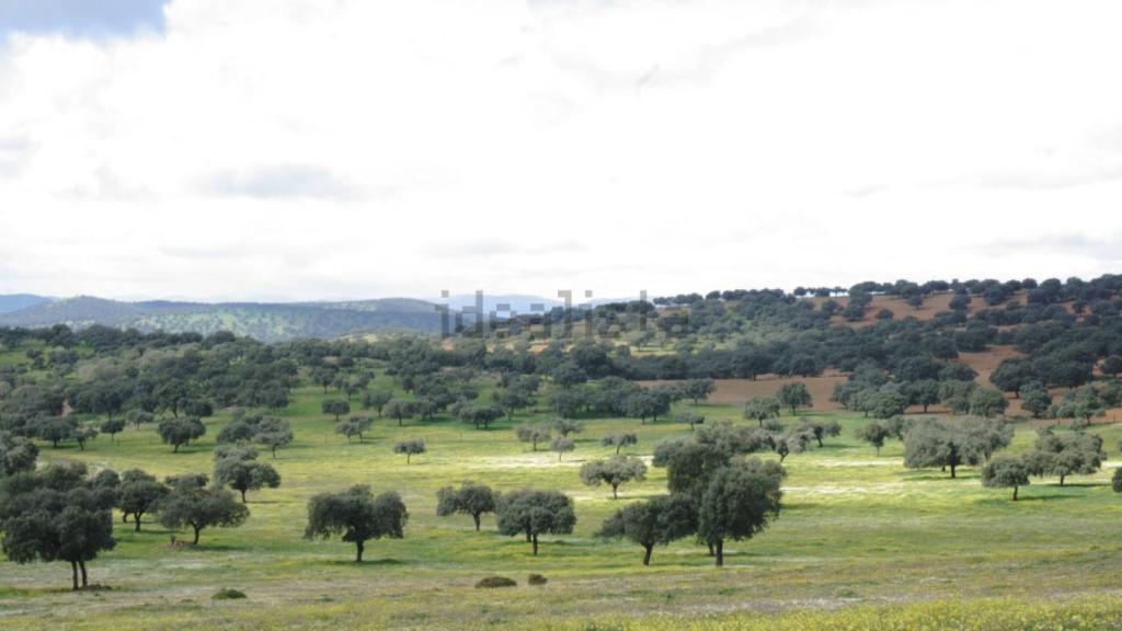 Finca en venta en Ciudad Real. Foto: Idealista.