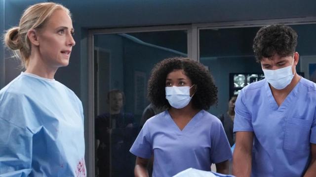 Bodas, premios y muertes: 7 cosas que debes recordar antes de ver la temporada 20 de 'Anatomía de Grey'