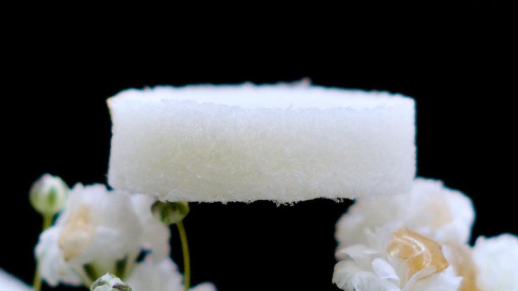 Bodegón con esponja de fibra de proteína de suero.