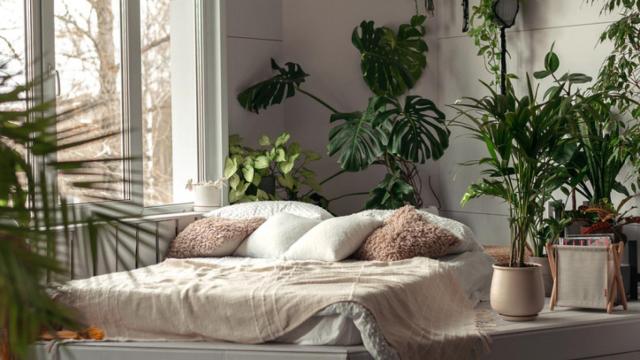 Dormitorio decorado con plantas.