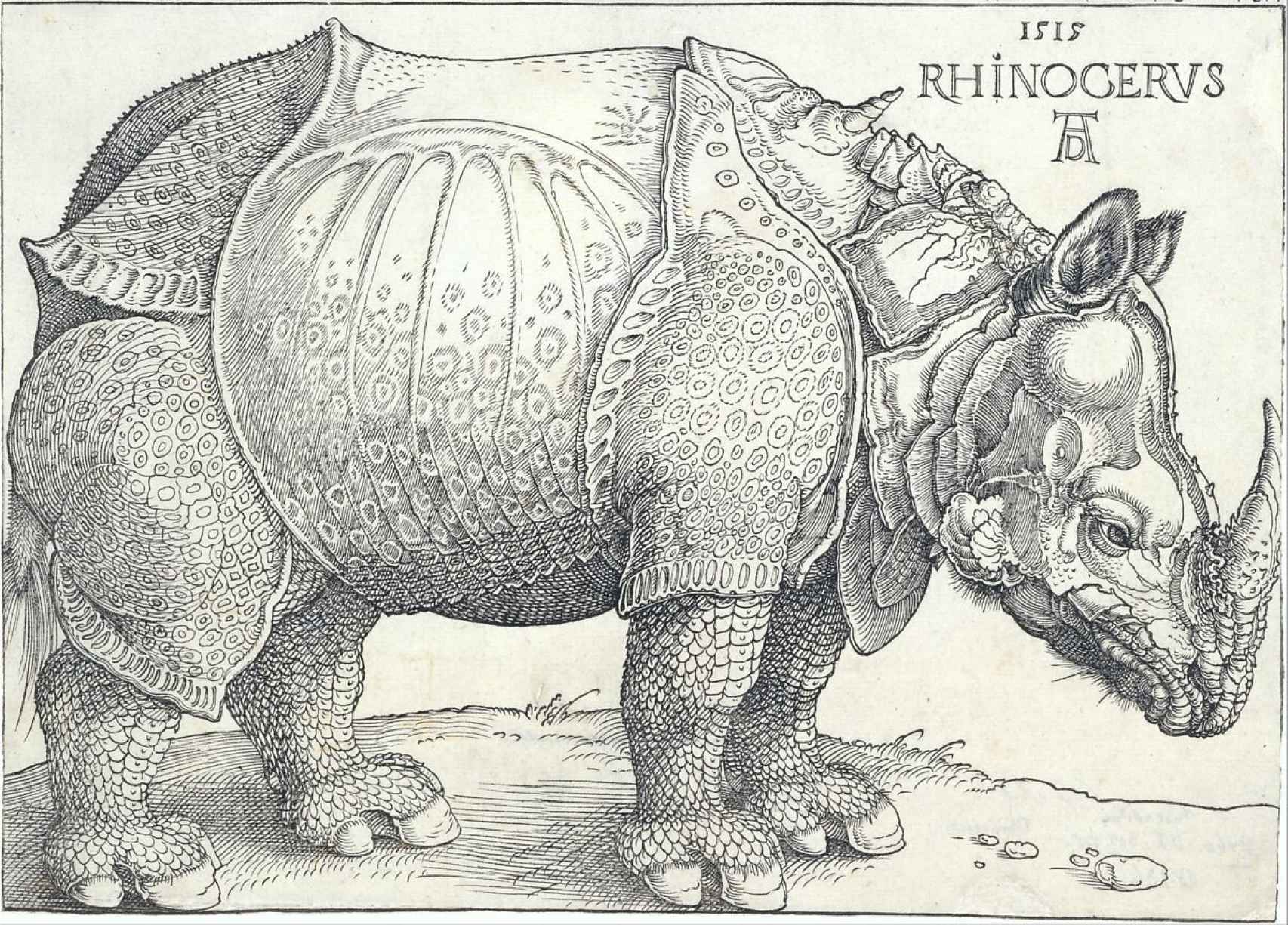 Grabado de Durero que muestra un rinoceronte de la India enviado a Lisboa en 1515.