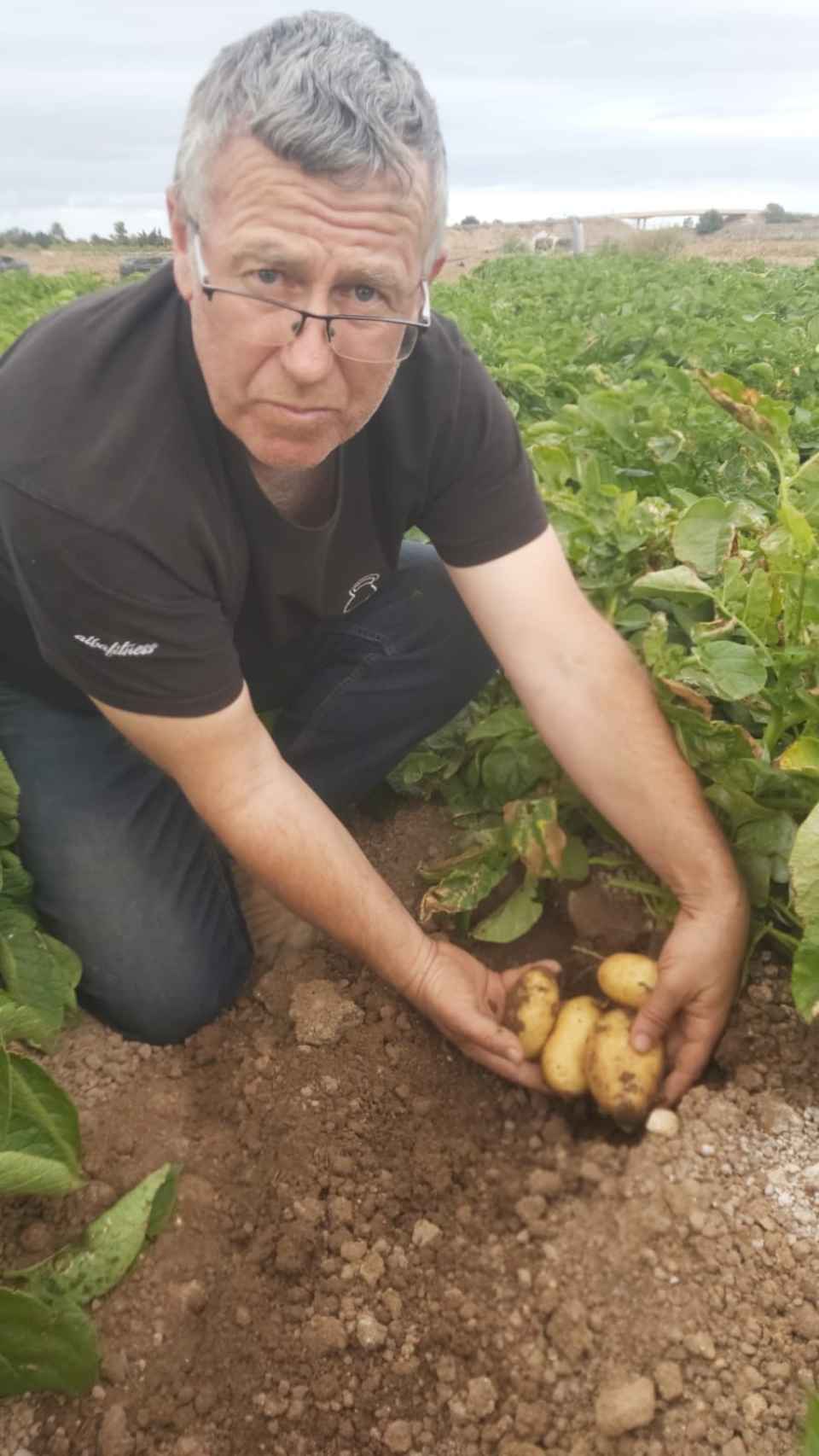 El agricultor Santiago Pérez, de 52 años, mostrando las patatas que produce en el Campo de Cartagena.