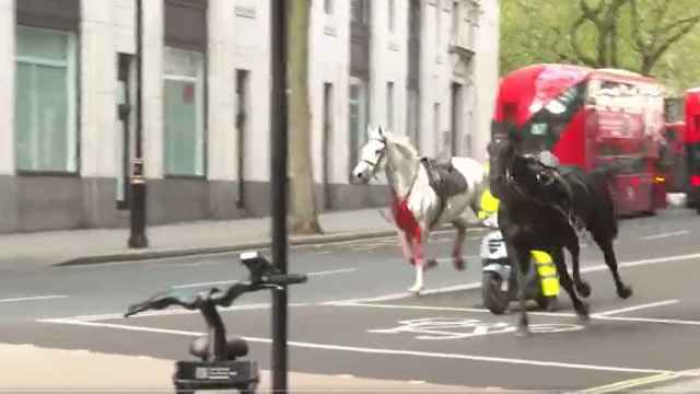 Dos de los caballos del ejército británico que se han escapada este miércoles en el centro de Londres.