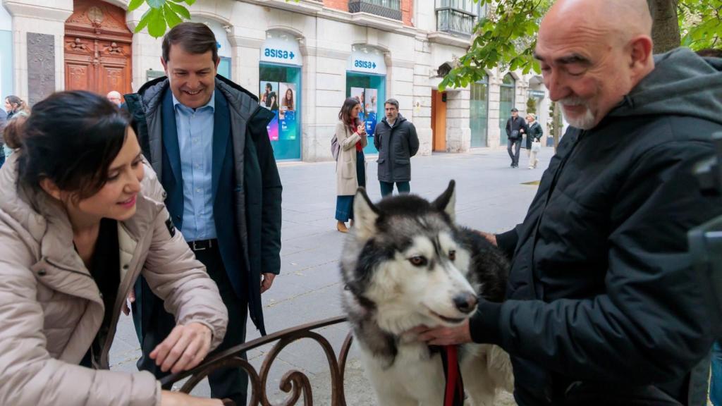 Isabel Díaz Ayuso, con Alfonso Fernández Mañueco de fondo, charla con un ciudadano que paseaba con su perro por Valladolid