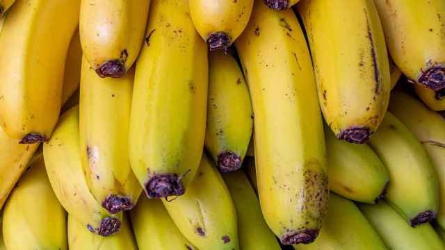 Plátanos