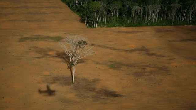 Deforestación del Amazonas, fotografía ganadora del World Press Photo 2007.
