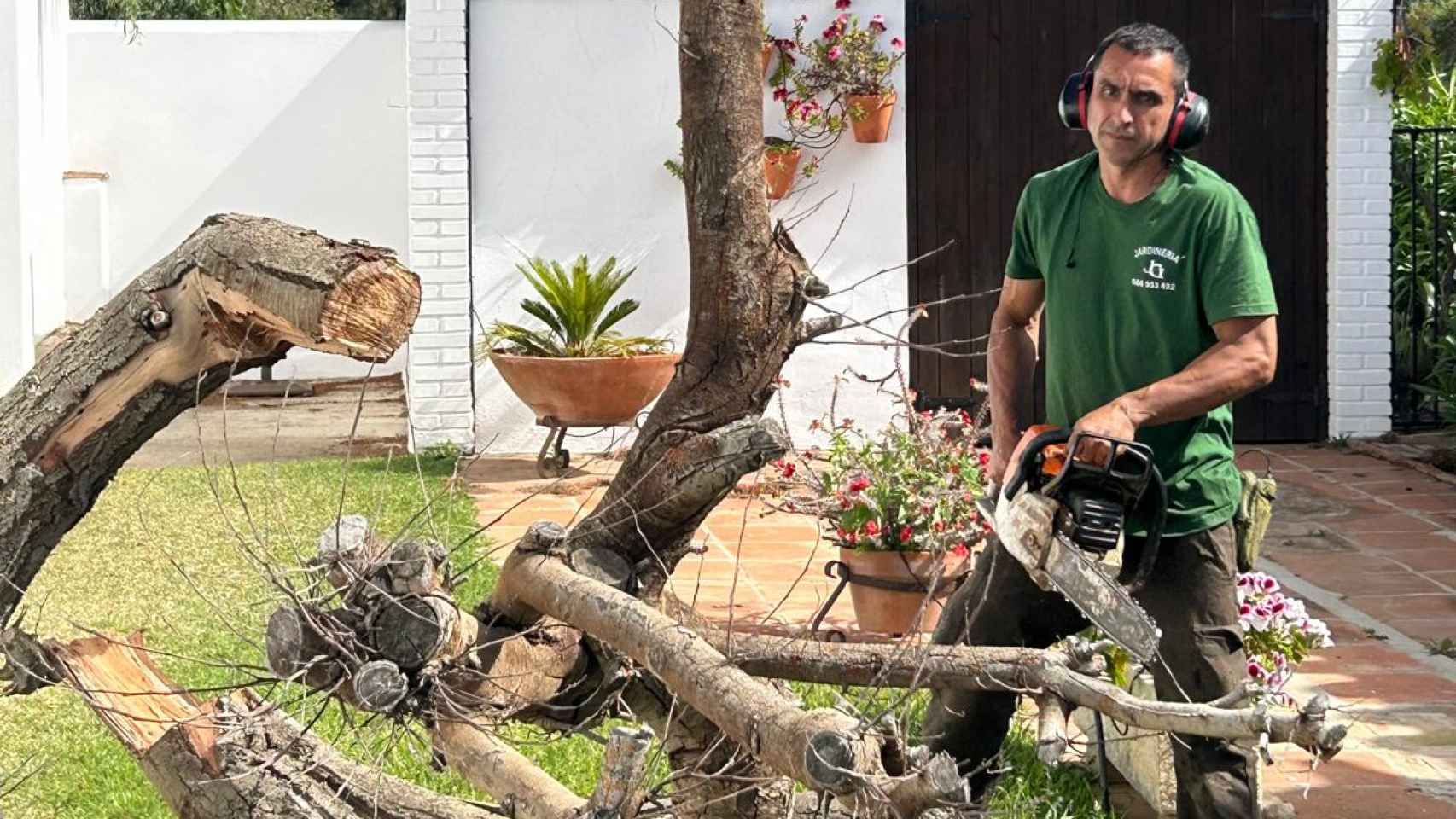 Andrés Marín, cortando un árbol que se ha secado debido a la falta de agua.