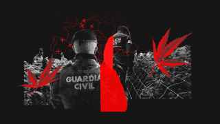 El 'modus operandi' de las mafias internacionales para que España ya sea el mayor invernadero de marihuana de Europa