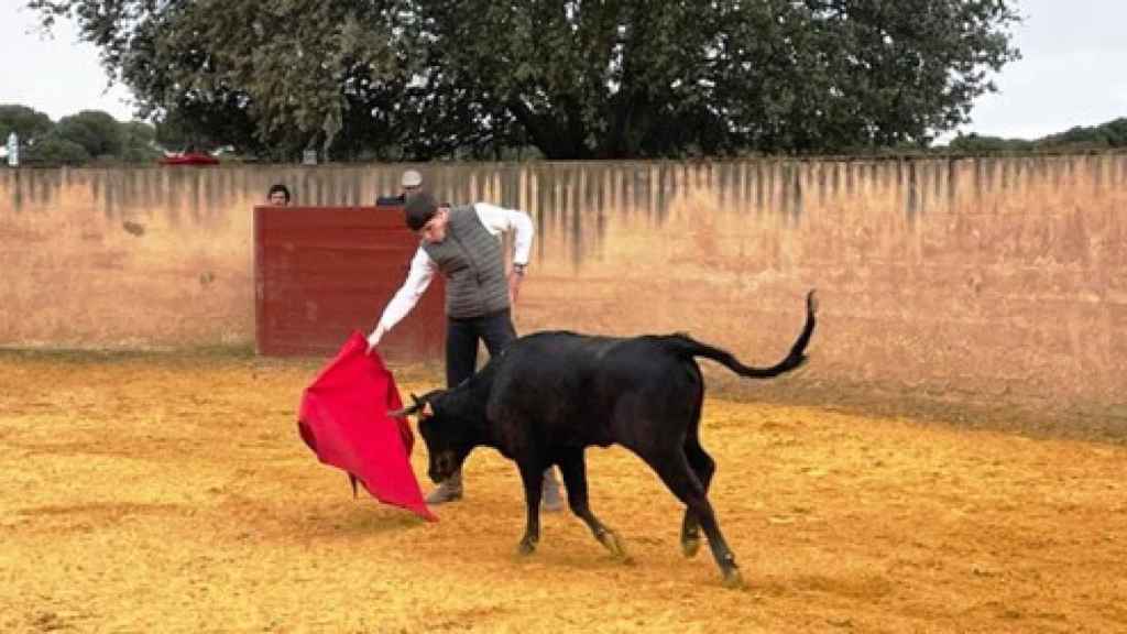 El novillero catalán Mario Vilau en un derechazo a la excelente vaca primera