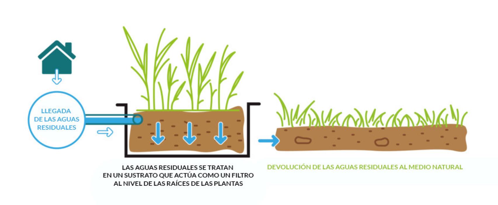 Humedal artificial que filtra el agua de riego