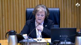 Enriqueta Chicano durante su comparecencia en el Congreso. Foto: Congreso.