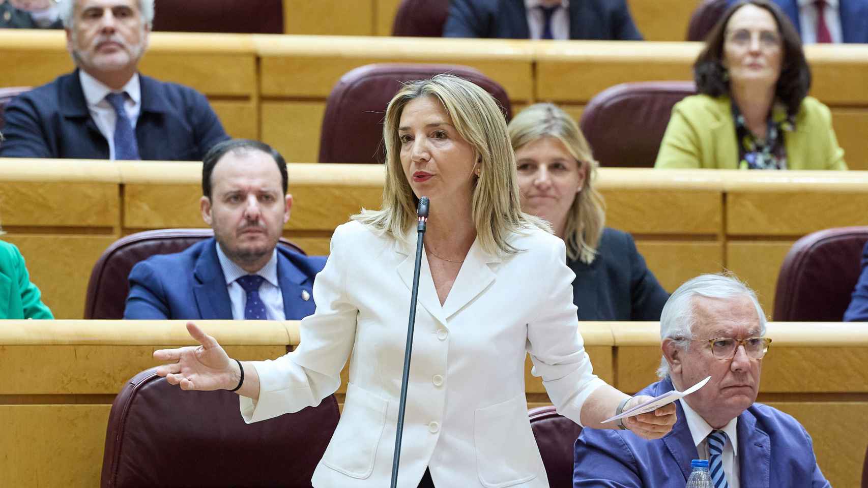 La portavoz del PP en el Senado, Alicia García, en una imagen reciente en el Pleno.