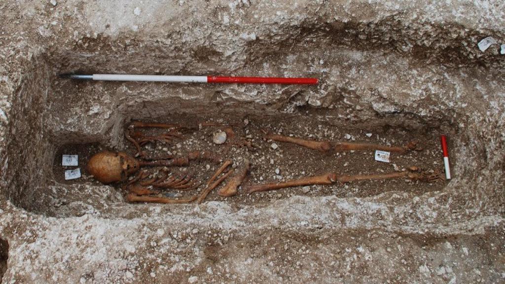 Esqueleto de la necrópolis de Santa Magdalena.