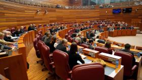 Pleno de las Cortes en Castilla y León