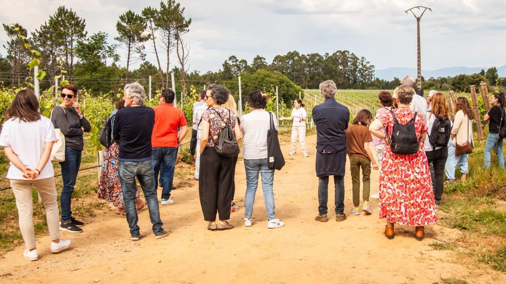 Bodegas gallegas abren sus puertas esta primavera: Visitas gratuitas del 10 al 12 de mayo