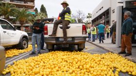 Protesta de productores de limón, en una imagen de archivo.