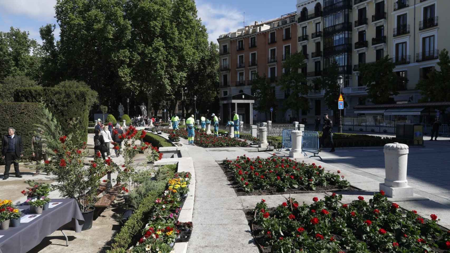 Operarios plantando flores en Madrid.