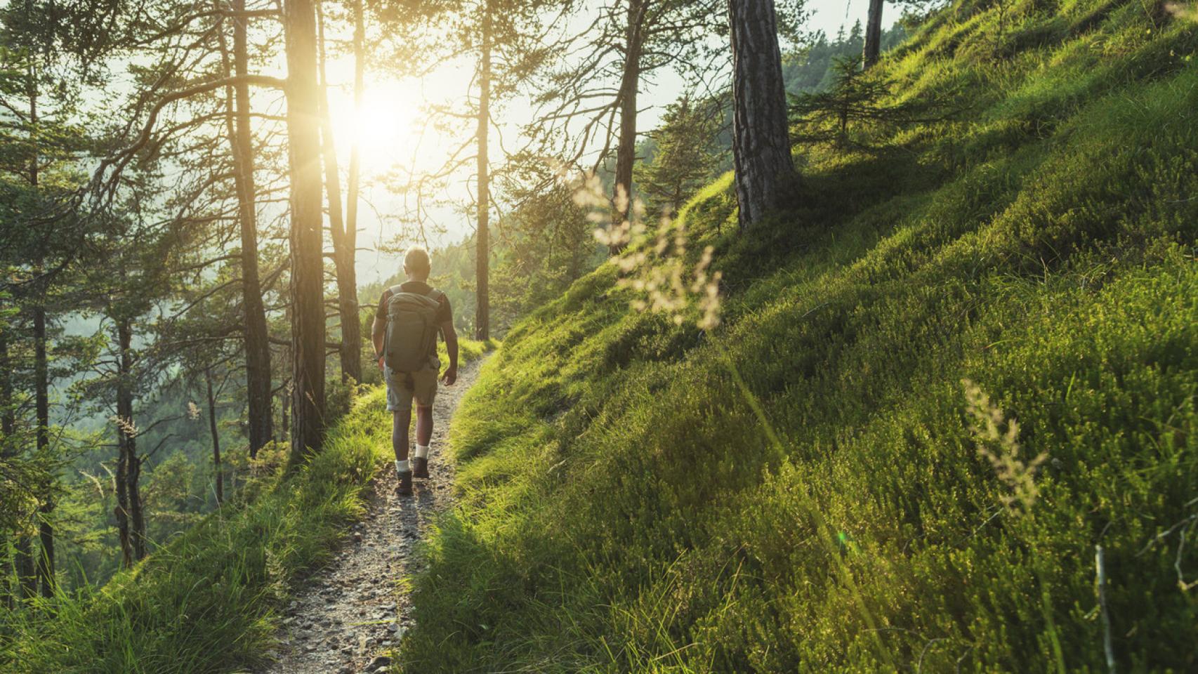 Un hombre camina por un bosque en una ruta de senderismo.