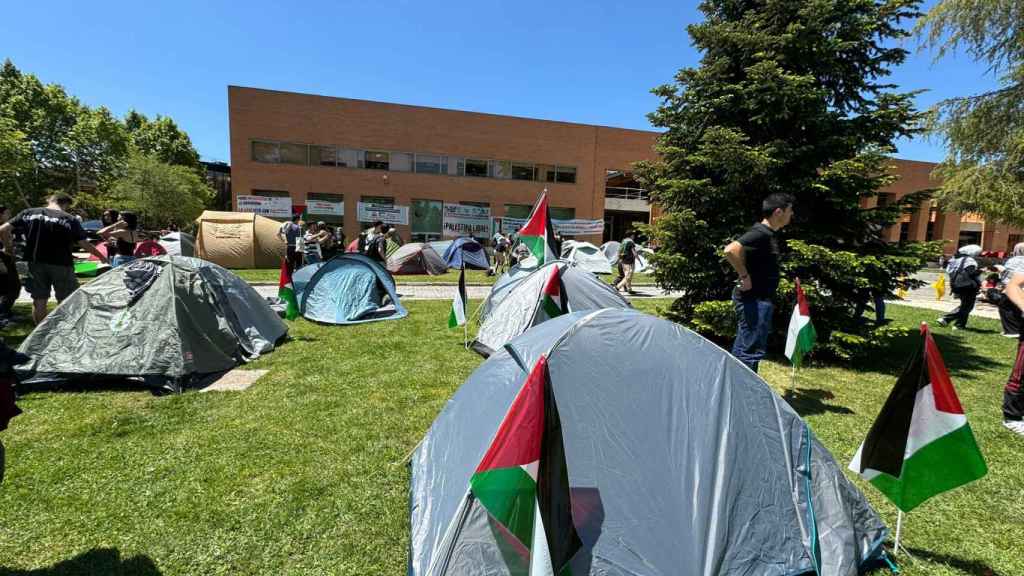 Tiendas de la acampada propalestina en Ciudad Universitaria, en la UCM de Madrid.
