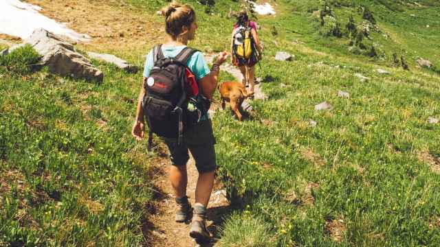 Mujeres caminando por el monte con un perro.