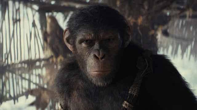 Qué películas hay que ver antes de 'El reino del planeta de los simios' y en qué plataformas están disponibles