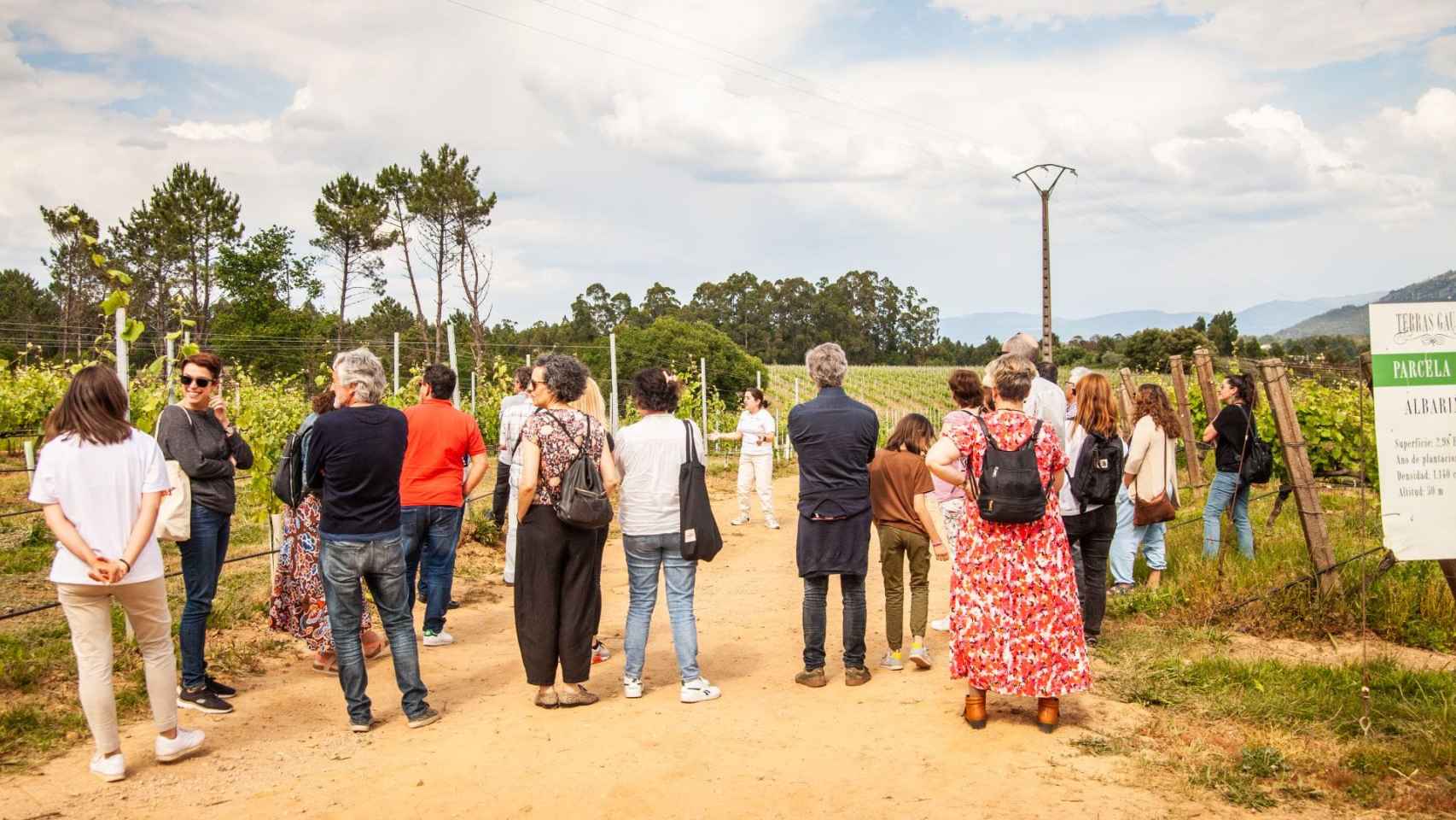 Imagen de una visita a las bodegas en ‘Primavera de portas abertas’.