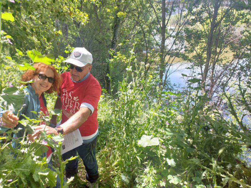 Juan Antonio Crespo y Socorro Ortega, muestran una de las plantas de la ribera del río