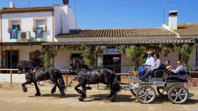 Un coche de caballos pasea por la aldea del Rocío.