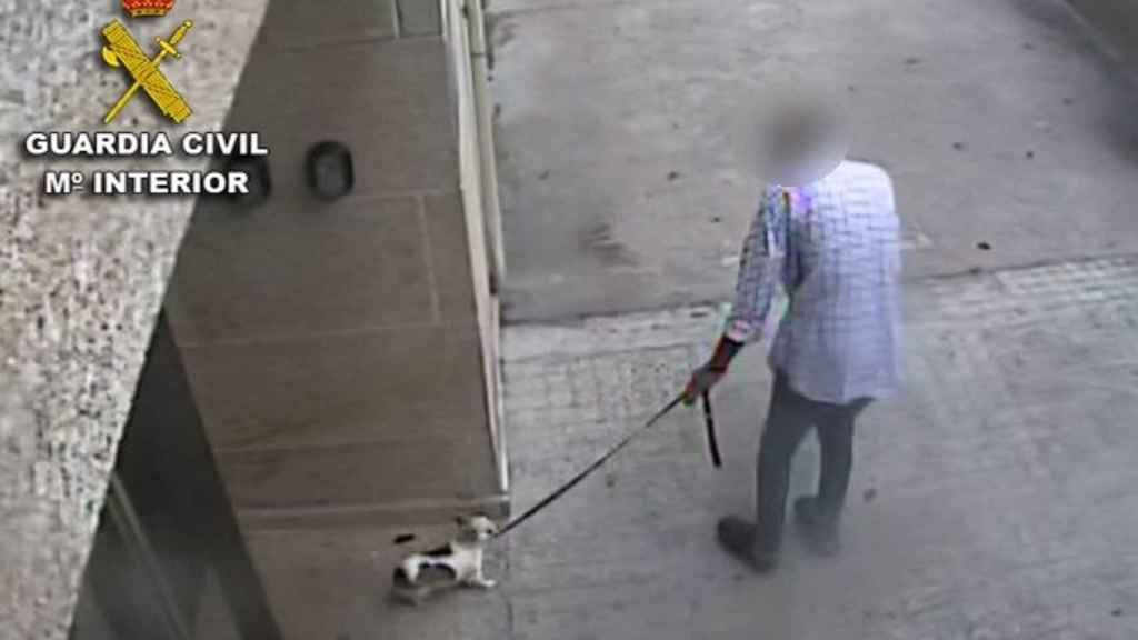 Un año de cárcel por matar a su perra en Baiona tras tirarla al suelo y darle una patada