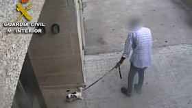 Un año de cárcel por matar a su perra en Baiona tras tirarla al suelo y darle una patada