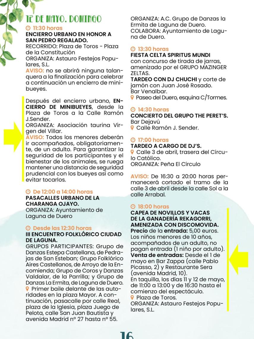 Cartel de las actividades taurinas infantiles en Laguna de Duero.