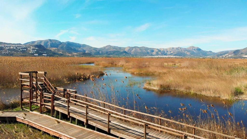 Parque Natural del Marjal de Pego y Oliva.