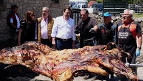 El presidente de la Junta de Castilla y León, Alfonso Fernández Mañueco, asiste a la I Jornada de Promoción del Vacuno de Carne en Peralejos de Abajo, Salamanca