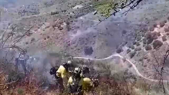 Incendio forestal en una zona de monte en Canillas de Aceituno