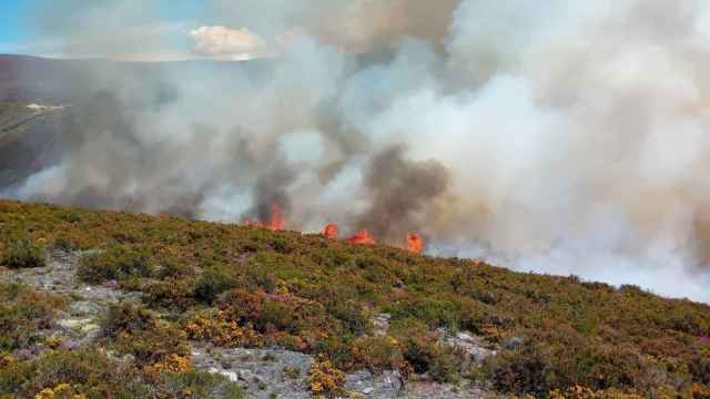Imagen del incendio forestal