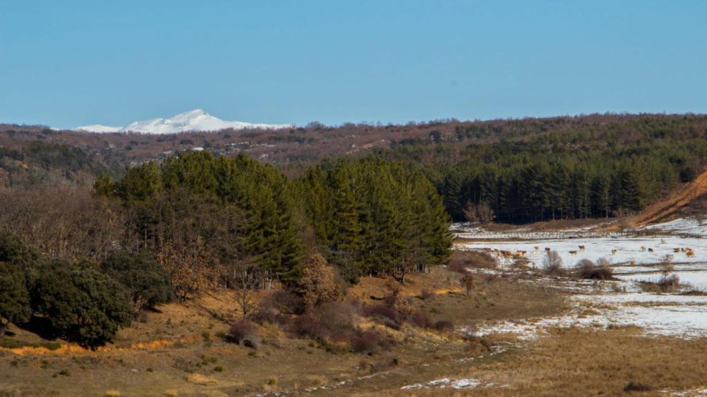 Zona donde se quiere hacer el embalse en Carrizo de la Ribera