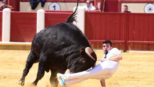 El cortador Christian Peñas durante el concurso de cortes en la plaza de toros de Valladolid