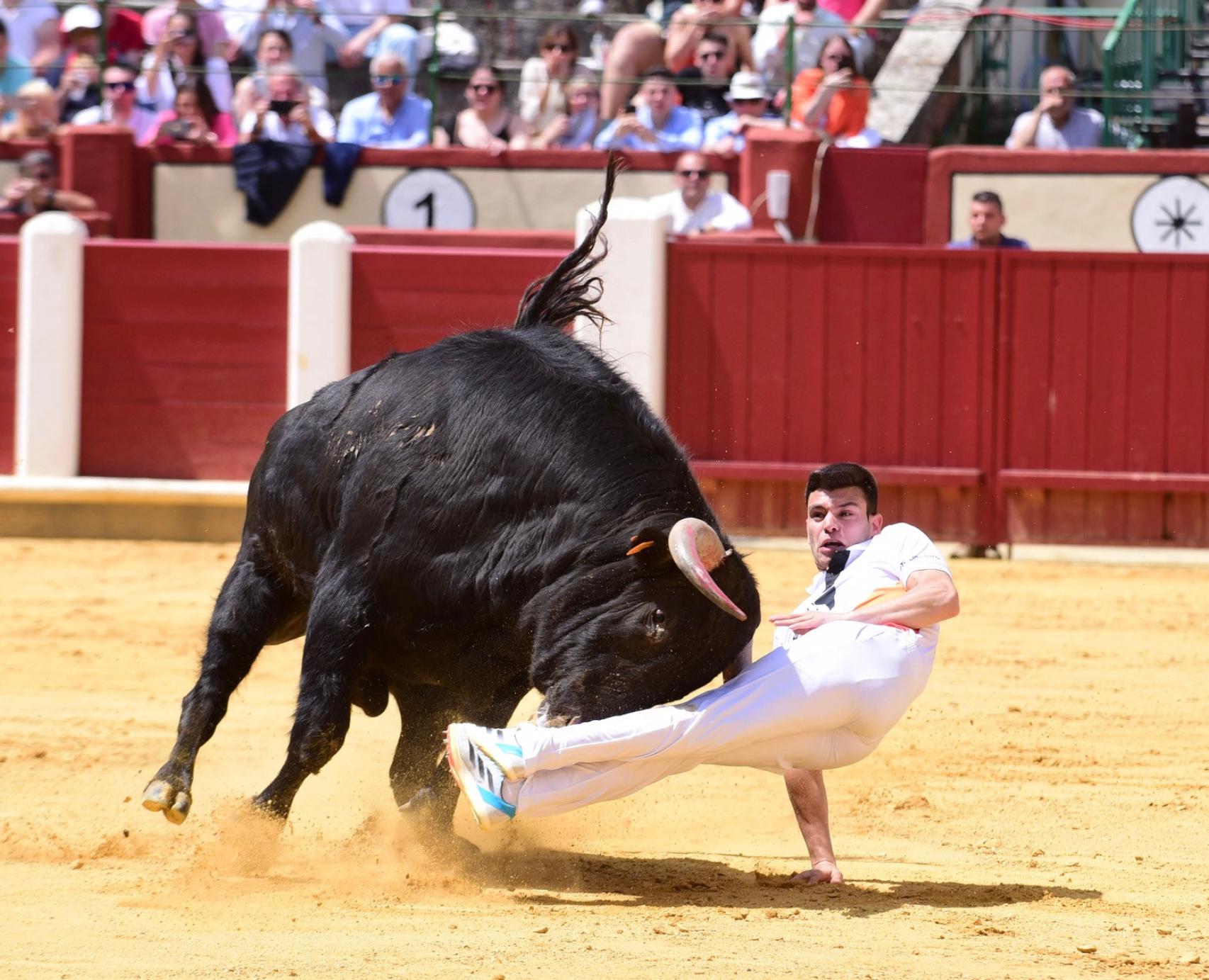 El cortador Christian Peñas durante el concurso de cortes en la plaza de toros de Valladolid