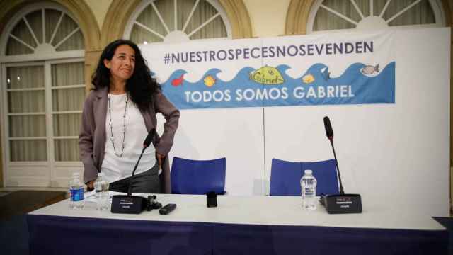 Patricia Ramírez en la rueda de prensa que ha ofrecido este sábado en la Diputación de Almería.