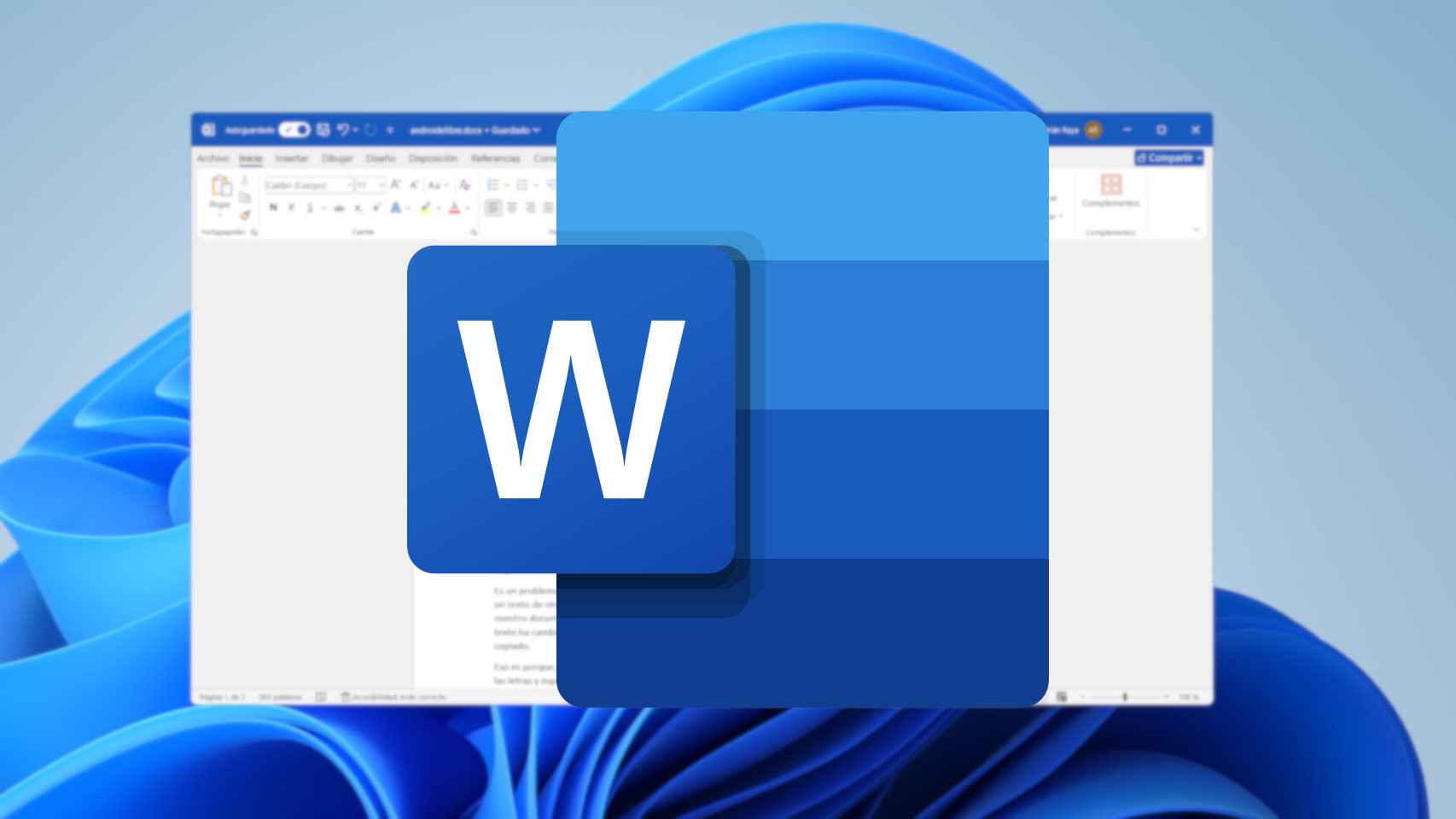 Microsoft Word